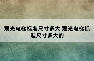 观光电梯标准尺寸多大 观光电梯标准尺寸多大的